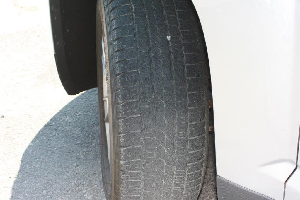 terr-013.jpg